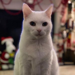 Meet your Posher, Meredith